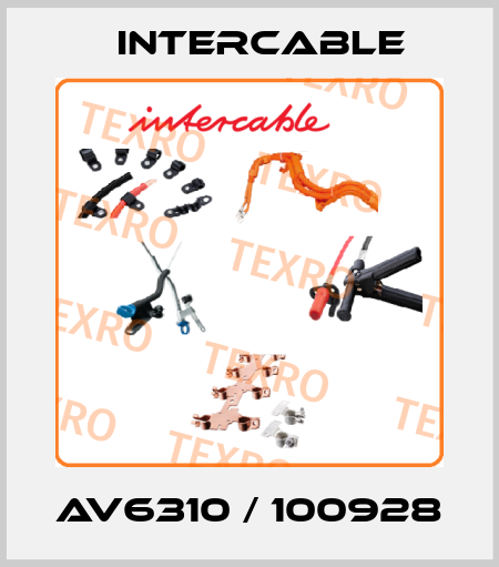AV6310 / 100928 Intercable