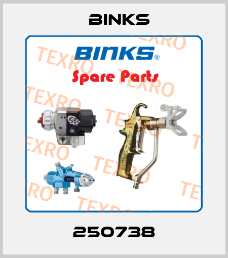 250738 Binks