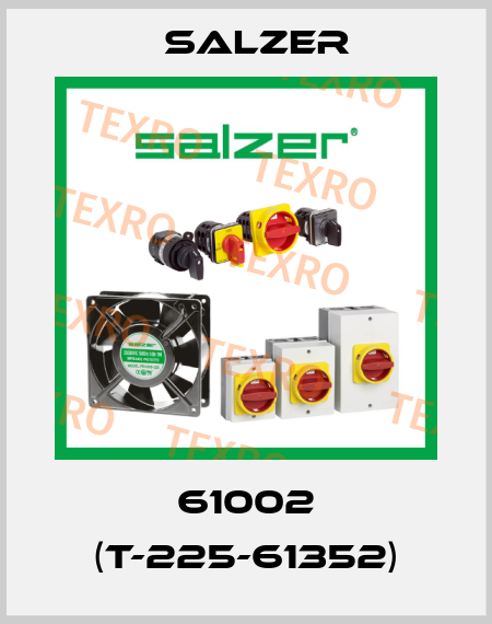 61002 (T-225-61352) Salzer
