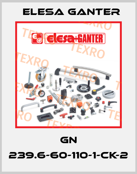 GN 239.6-60-110-1-CK-2 Elesa Ganter