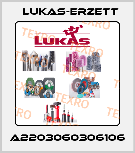 A2203060306106 Lukas-Erzett