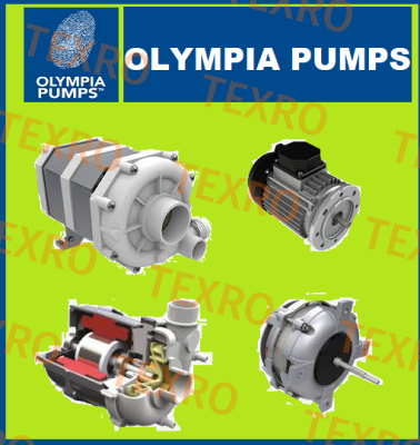 88106DHR OLYMPIA PUMPS