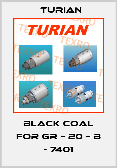 Black coal for GR – 20 – B - 7401 Turian