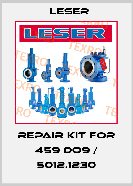 repair kit for 459 do9 / 5012.1230 Leser