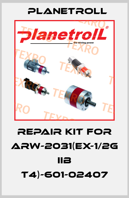 Repair kit for ARW-2031(Ex-1/2G IIB T4)-601-02407 Planetroll