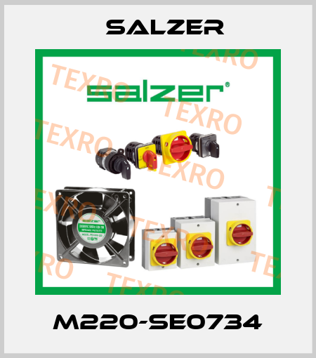 M220-SE0734 Salzer