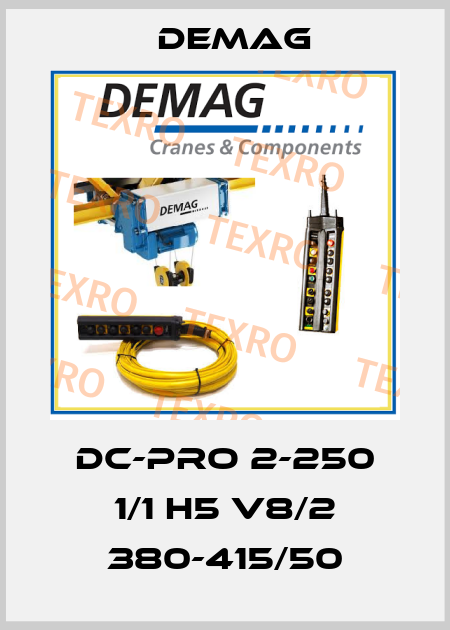 DC-Pro 2-250 1/1 H5 V8/2 380-415/50 Demag