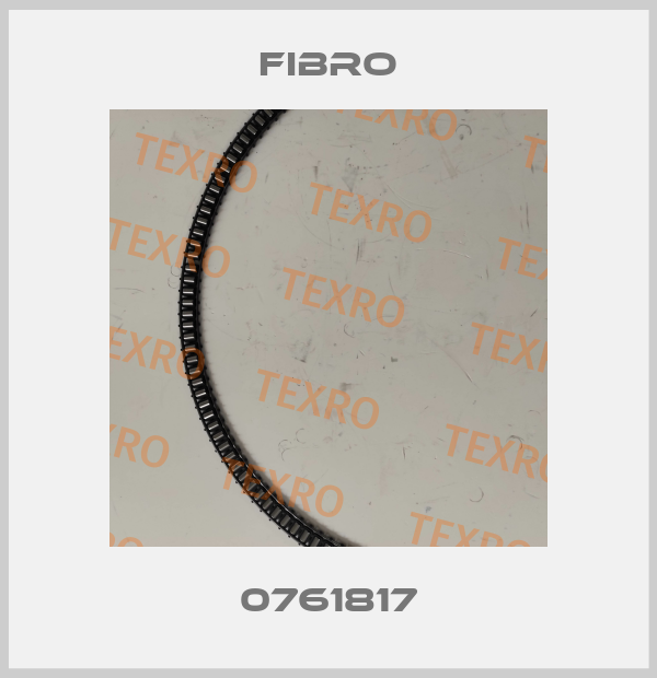 0761817 Fibro