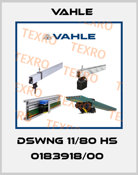 DSWNG 11/80 HS  0183918/00  Vahle