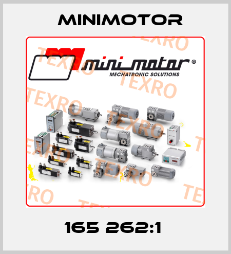 165 262:1  Minimotor
