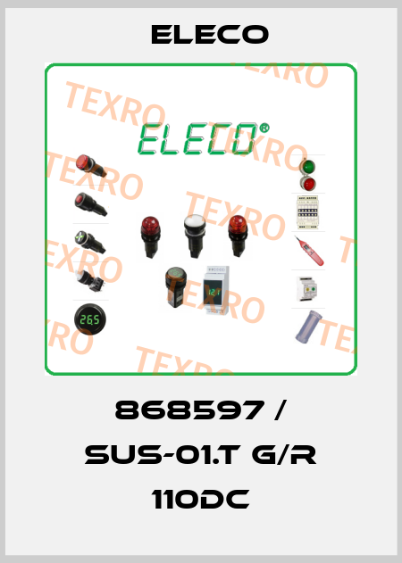 868597 / SUS-01.T G/R 110DC Eleco