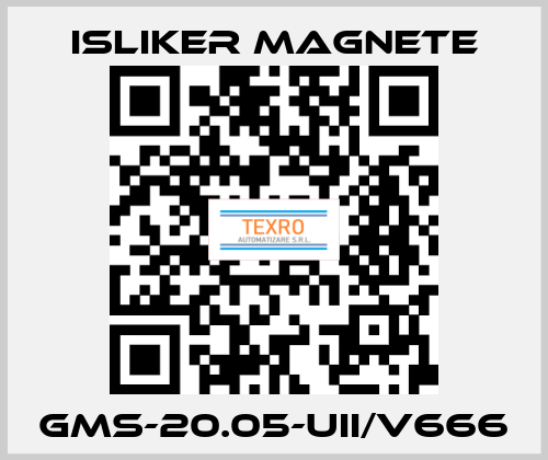 GMs-20.05-UII/v666 ISLIKER MAGNETE