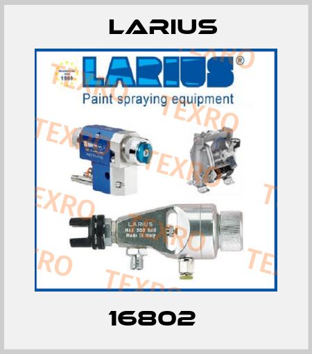16802  Larius