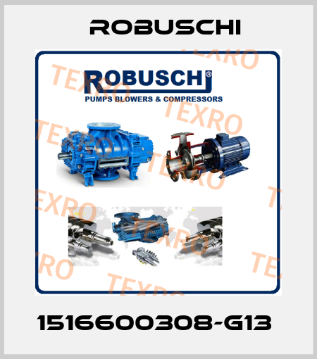 1516600308-G13  Robuschi
