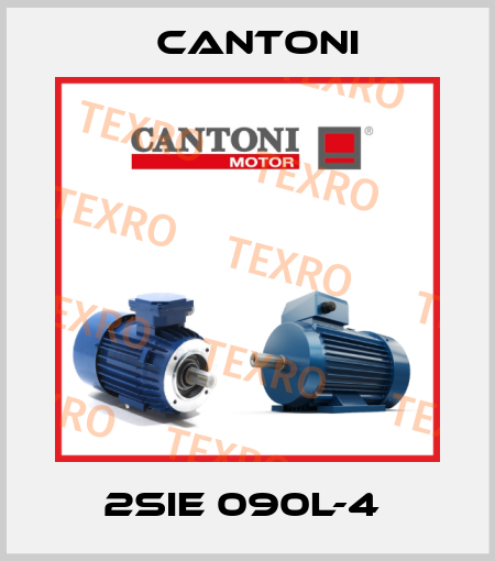 2SIE 090L-4  Cantoni