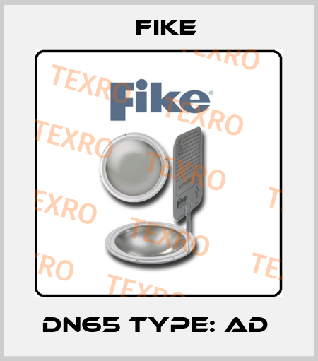 DN65 Type: AD  FIKE