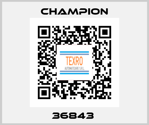 36843  Champion