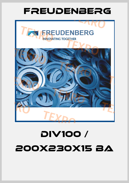 DIV100 / 200X230X15 BA  Freudenberg