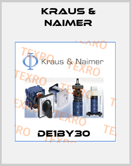 DE1BY30  Kraus & Naimer