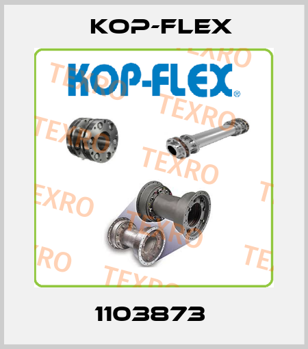 1103873  Kop-Flex
