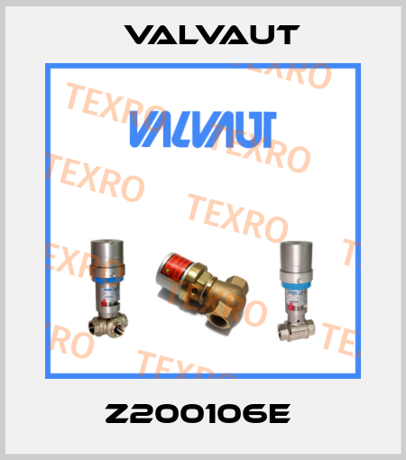 Z200106E  Valvaut