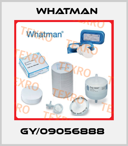 GY/09056888  Whatman