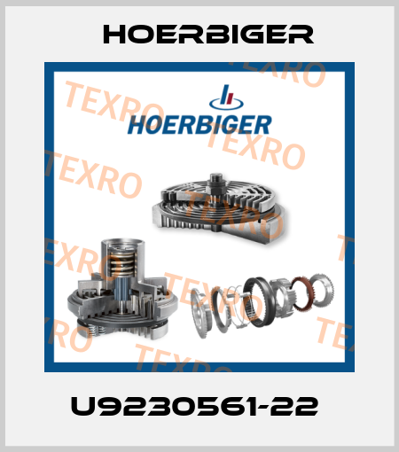 U9230561-22  Hoerbiger