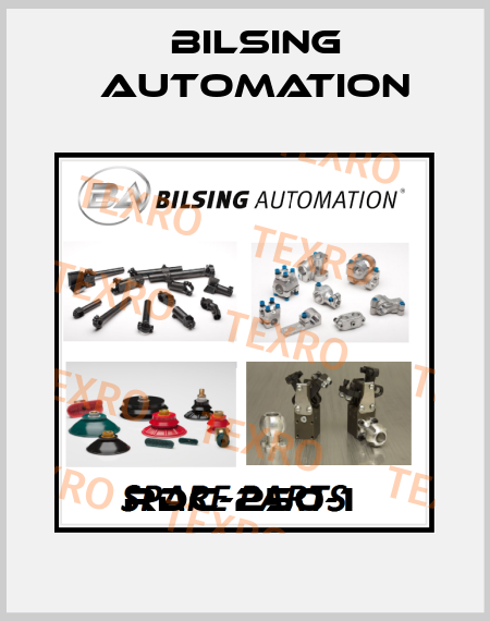 RDC-250-1  Bilsing Automation