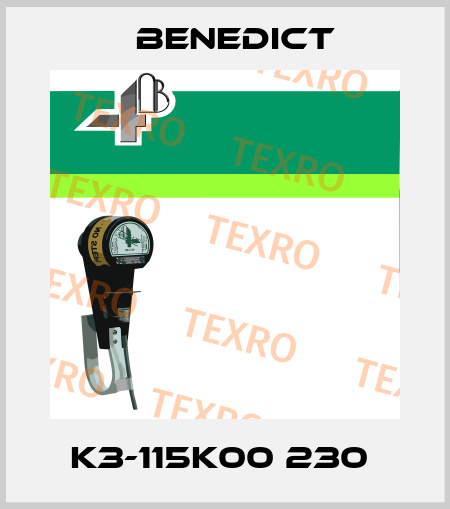 K3-115K00 230  Benedict