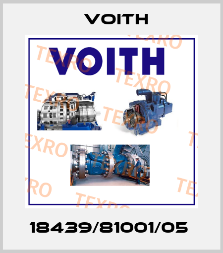 18439/81001/05  Voith