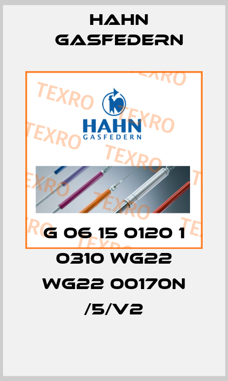 G 06 15 0120 1 0310 WG22 WG22 00170N /5/V2 Hahn Gasfedern