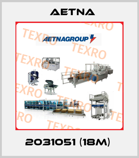 2031051 (18m)  Aetna