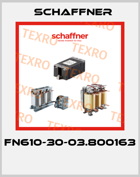 FN610-30-03.800163  Schaffner
