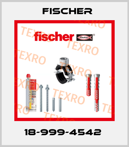 18-999-4542  Fischer