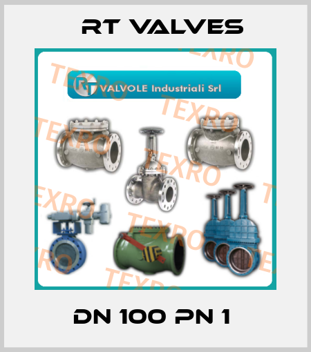 DN 100 PN 1  RT Valves
