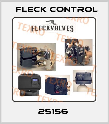 25156  Fleck Control
