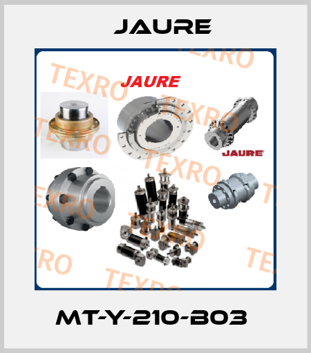 MT-Y-210-B03  Jaure