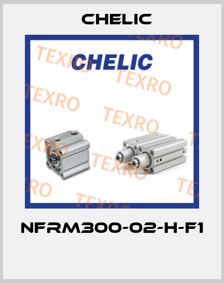 NFRM300-02-H-F1  Chelic