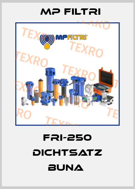 FRI-250 DICHTSATZ BUNA  MP Filtri