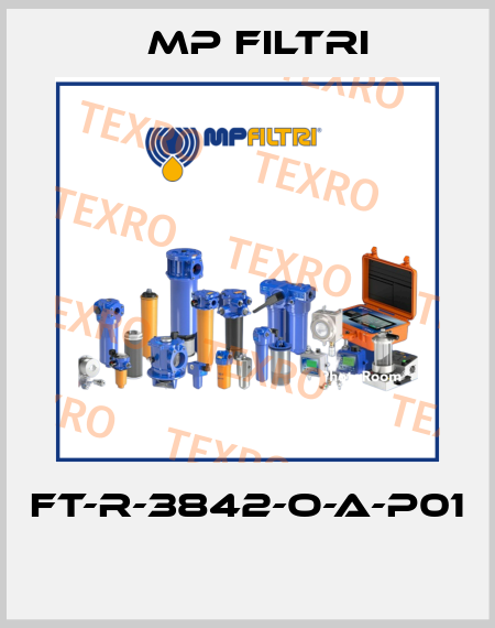 FT-R-3842-O-A-P01  MP Filtri