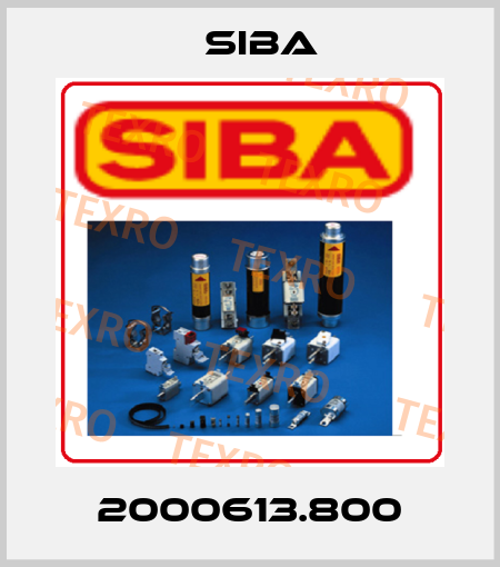 2000613.800 Siba