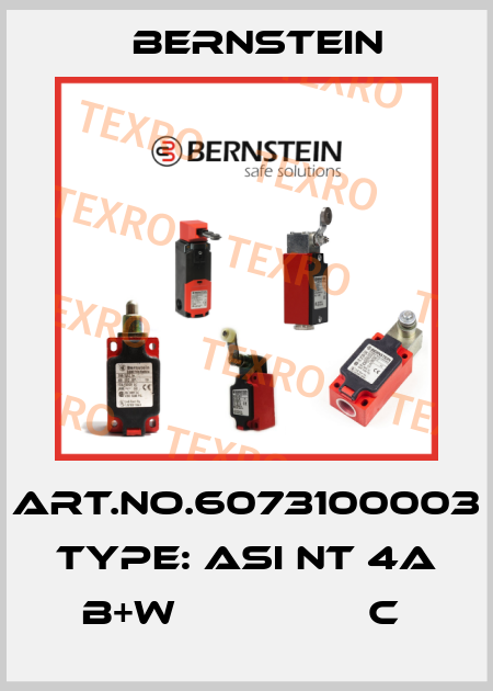 Art.No.6073100003 Type: ASI NT 4A B+W                C  Bernstein