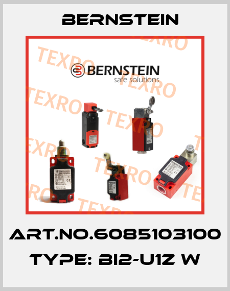 Art.No.6085103100 Type: BI2-U1Z W Bernstein