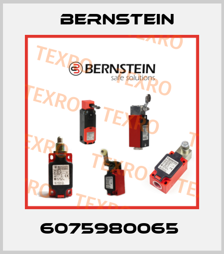 6075980065  Bernstein