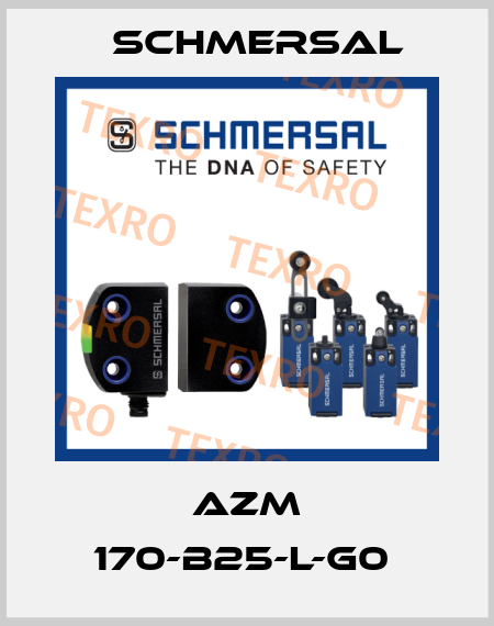 AZM 170-B25-L-G0  Schmersal