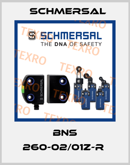 BNS 260-02/01Z-R  Schmersal
