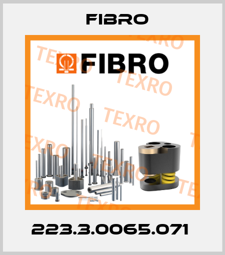 223.3.0065.071  Fibro