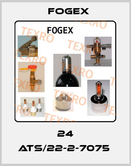 24 ATS/22-2-7075  Fogex