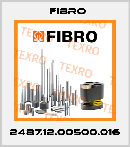 2487.12.00500.016 Fibro