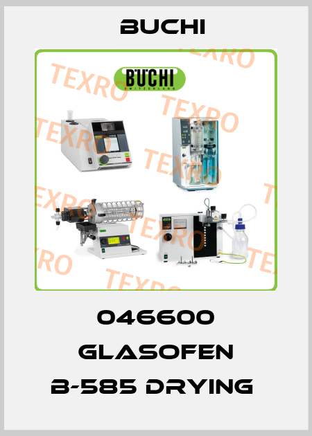 046600 GLASOFEN B-585 DRYING  Buchi